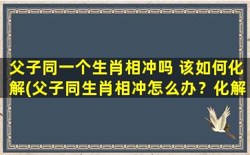 父子同一个生肖相冲吗 该如何化解(父子同生肖相冲怎么办？化解方法大揭秘！)